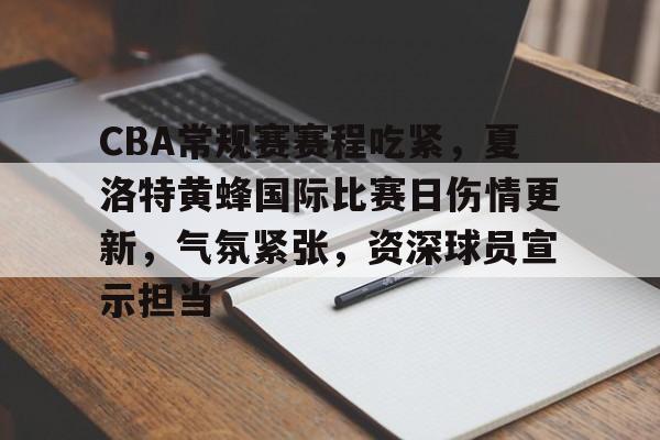 正规平台-关于CBA常规赛赛程吃紧，夏洛特黄蜂国际比赛日伤情更新，气氛紧张，资深球员宣示担当的信息